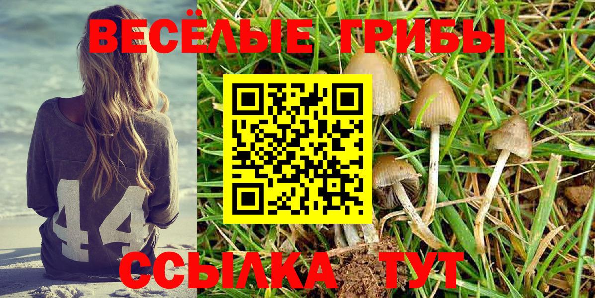 Псилоцибиновые грибы Cubensis  Псилоцибиновые грибы GOLDEN TEACHER  как найти закладки  Саров  Вход с VPN 